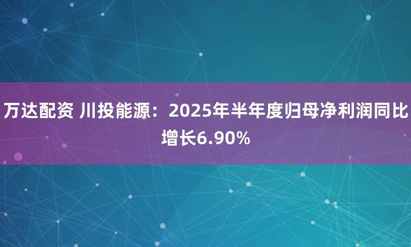 万达配资 川投能源：2025年半年度归母净利润同比增长6.90%